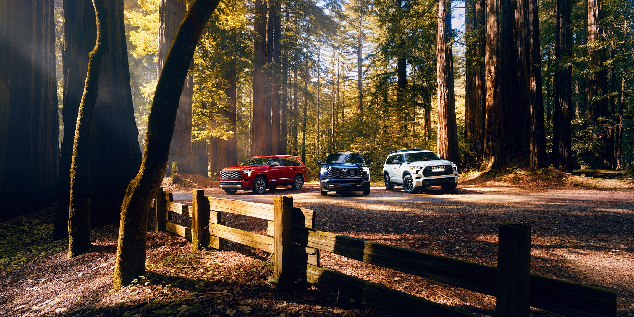 A slider divides an image of three trucks in a sunlit forest in half, showing what it looks like when a warm glow is added to the image.