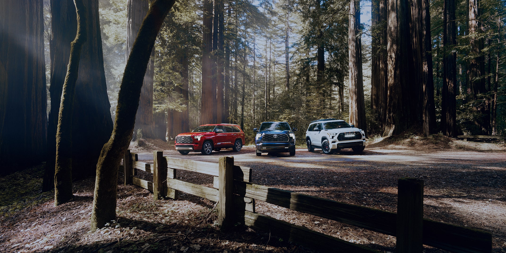 A slider divides an image of three trucks in a sunlit forest in half, showing what it looks like when a warm glow is added to the image.