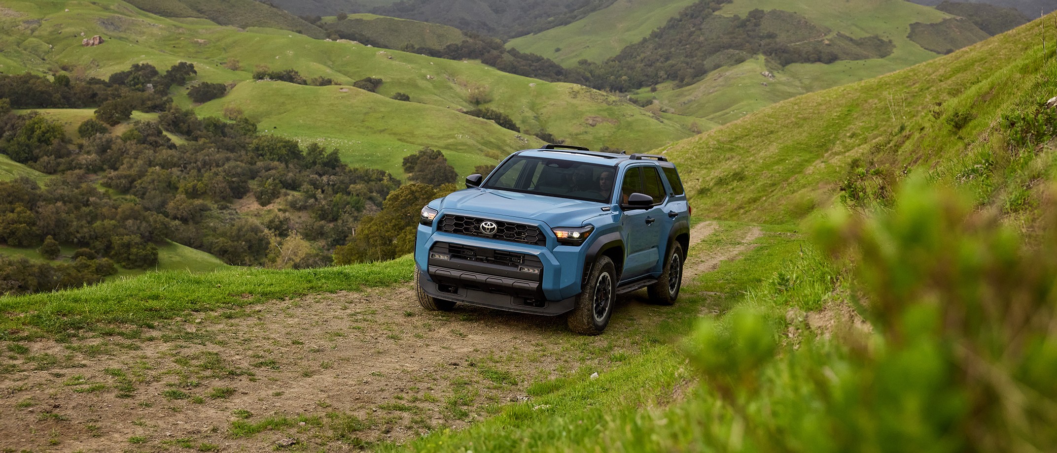 Blue Toyota driving through a grassy road.