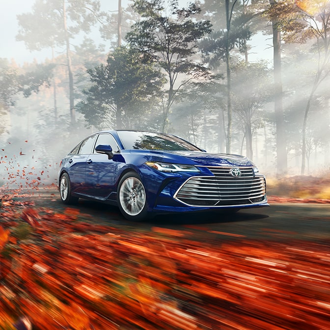 A sedan drives through a forest, the leaves blurring in the foreground.